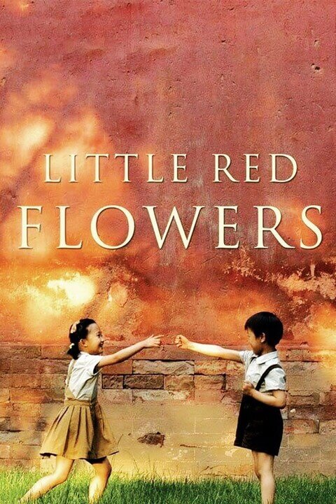 看上去很美 / Little Red Flowers 2006电影封面图/海报